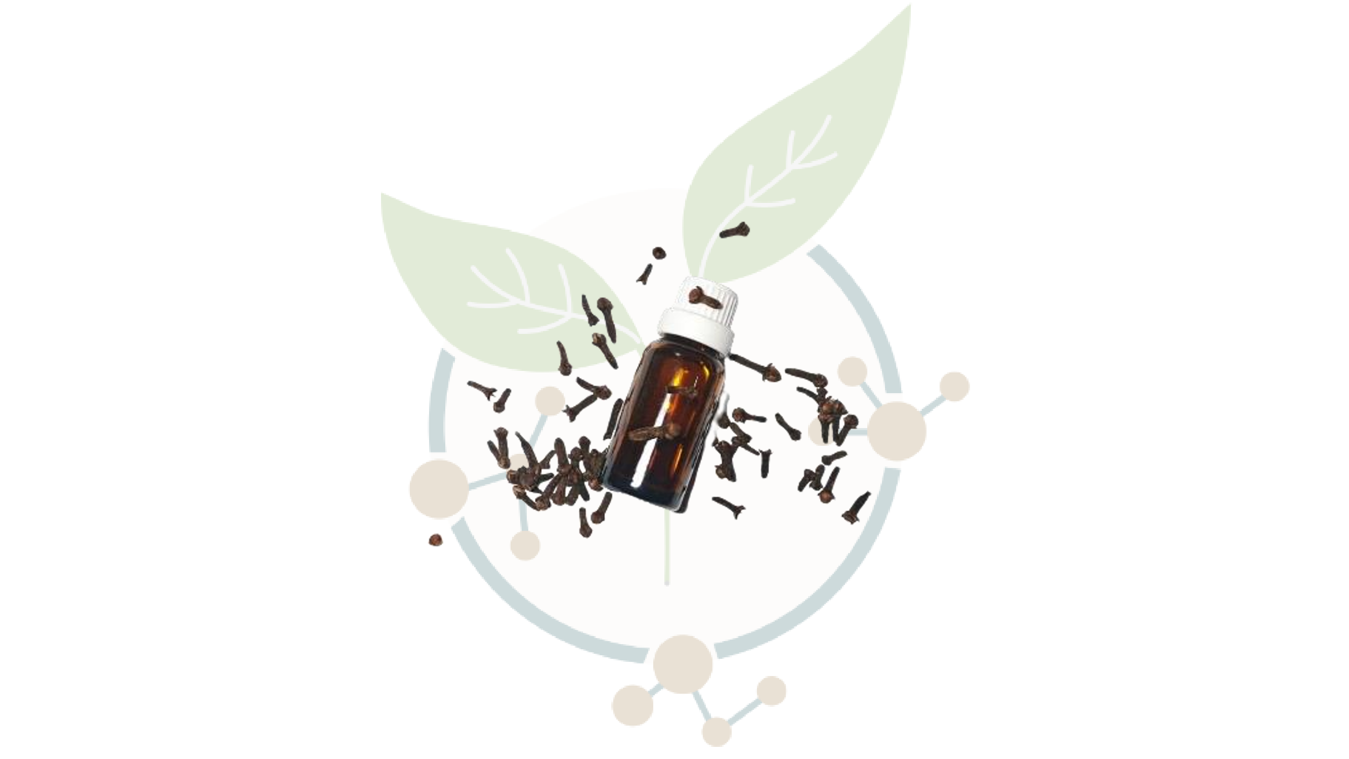 clove oil crude 73%